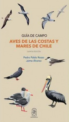 Aves De Las Costas Y Mares De Chile. Guia De Campo de ROSSO, PEDRO PABLO